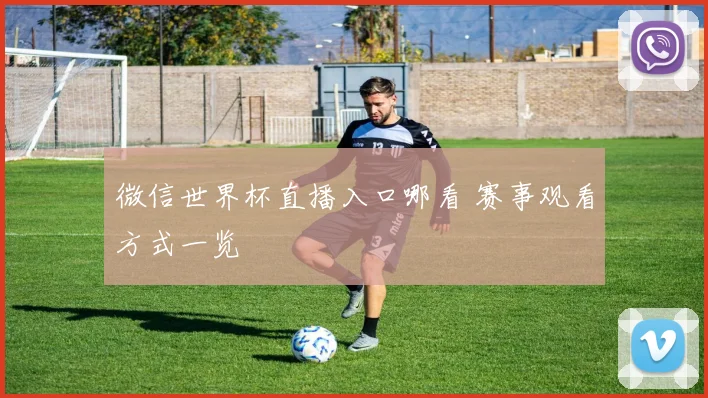 微信世界杯直播入口哪看 赛事观看方式一览