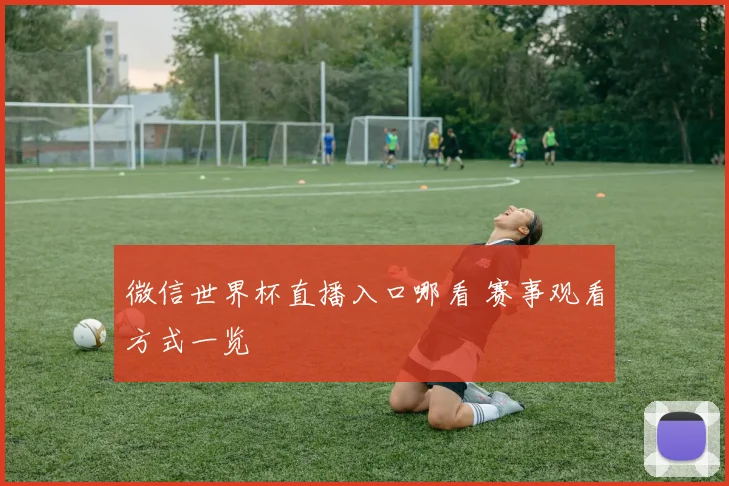 微信世界杯直播入口哪看 赛事观看方式一览
