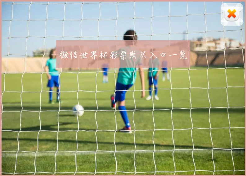 微信世界杯彩票购买入口一览