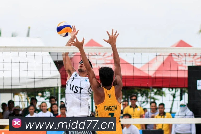 mksports网站平台生态图